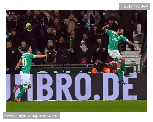 九游娱乐官方网站赞助的不莱梅足球队背后合作伙伴关系及品牌推广效果评估