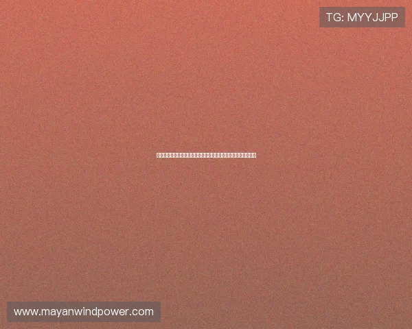 关注世界杯美国与巴拉圭训练动态，揭示两队备战状态与战术布置